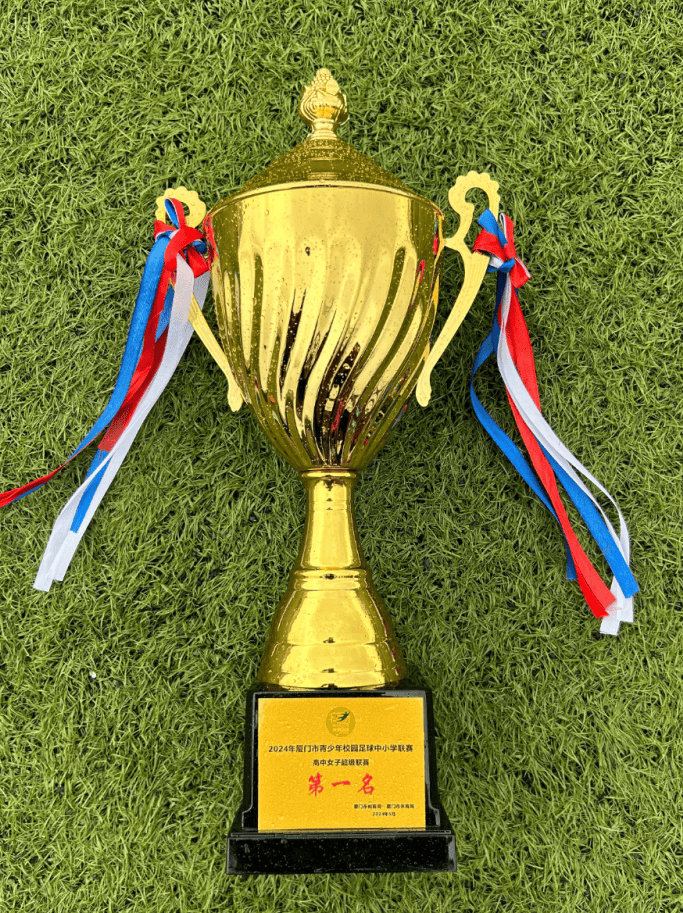 开云app-本土女足选手再获殊荣，成就斐然的简单介绍