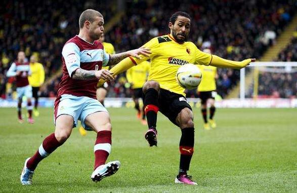 kaiyun-沃特福德球迷